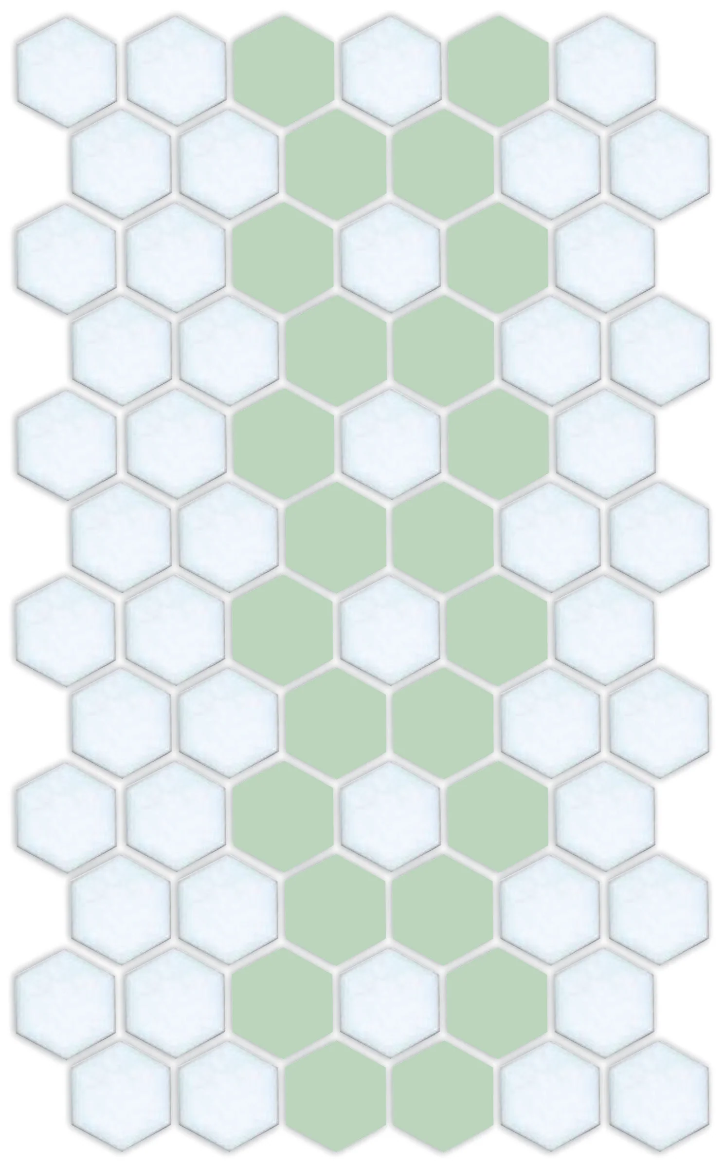 Daisy Chain | Pinnacle Hexagon Border - Image 12
